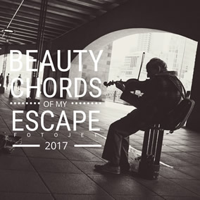Beauty escape