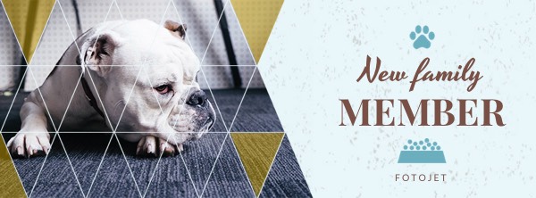 Dog Facebook Cover Photo Template