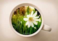 creative coffee cup sample