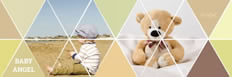 Baby bear email header