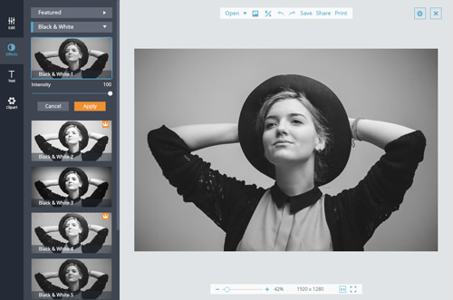 Free Online Photo Filters and Image Effects Editor 