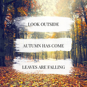 Autumn Instagram post