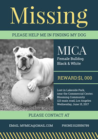 Missing dog poster