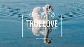 True Love YouTube Channel Art