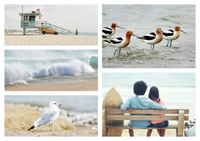 Beach collage