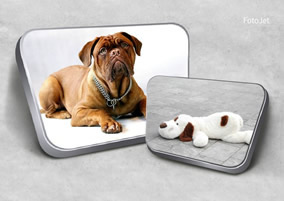 3D dog collage