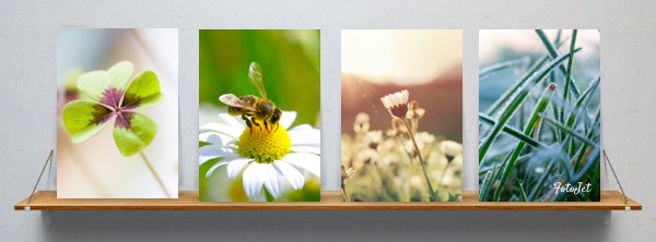 Plant Facebook Cover Photo Collage Template