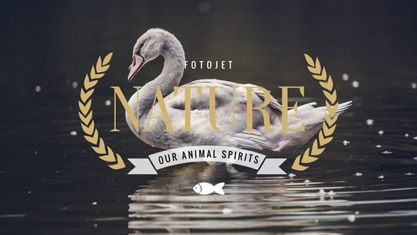 Nature Google Plus Cover Photo Template