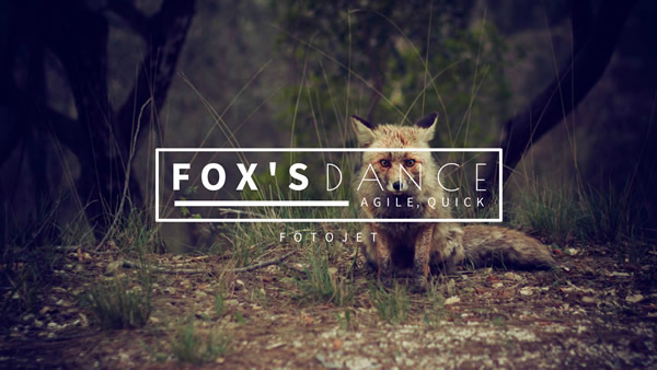 Little Fox YouTube Channel Art Template