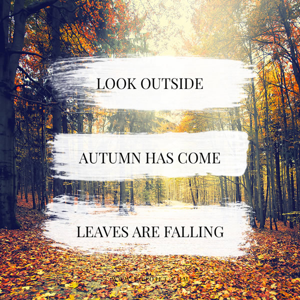 Autumn Instagram Post Template
